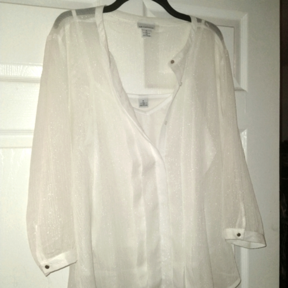 Liz Claiborne sheer blouse